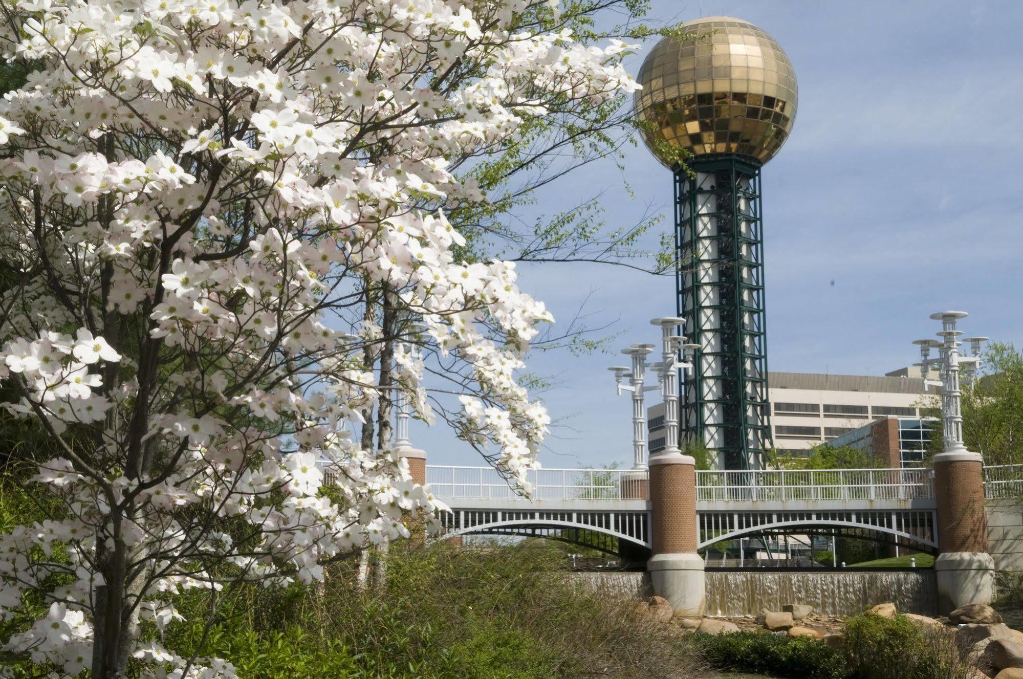 The Tennessean Personal Luxury Hotel Knoxville Esterno foto